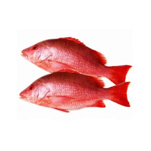 Pescado de mar Pargo 5lb