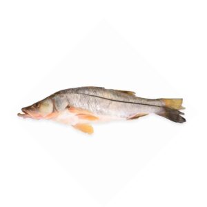 Pescado de mar Robalo 10lb