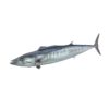 Pescado de mar Serrucho 14lb - producto fresco y sabroso en formato 14lb
