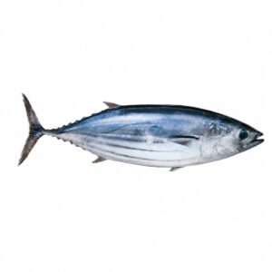 Pescado de mar Bonito 12lb