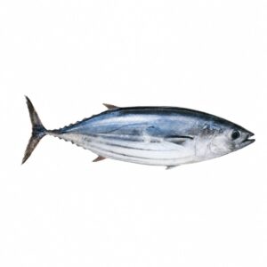 Pescado de mar Bonito 5lb